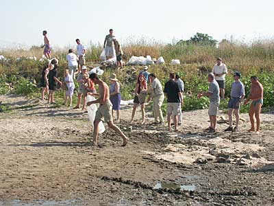 Schaffung eines Sandstrandes
