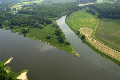 Fliegende G&auml;nse